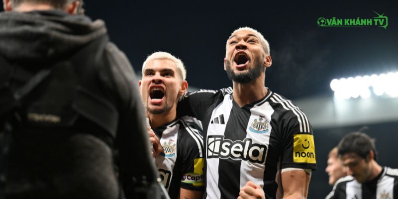 Newcastle chuẩn bị chiến thuật cho trận đấu gặp Liverpool tại St James’ Park