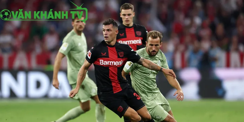 Bayern Munich vs Bayer Leverkusen – tổng quan trận đấu, phong độ và đội hình
