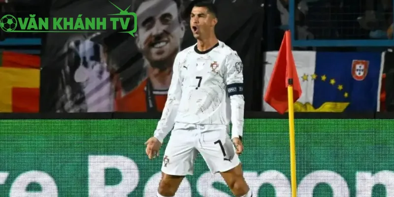 Bối cảnh và sức nóng trận Bồ Đào Nha vs Hungary