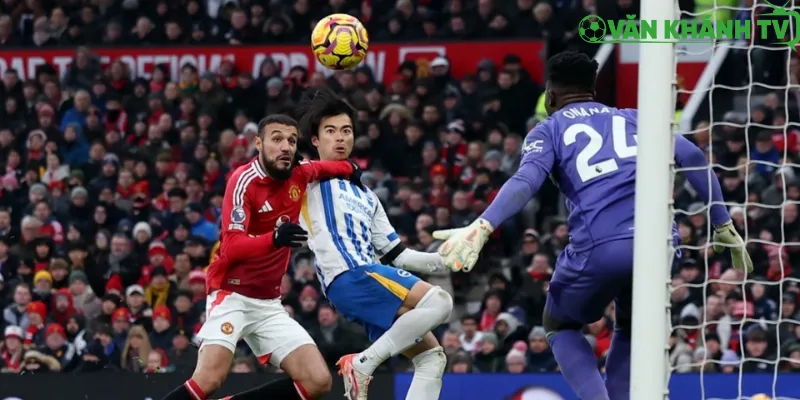 Dự đoán chi tiết trận MU vs Brighton