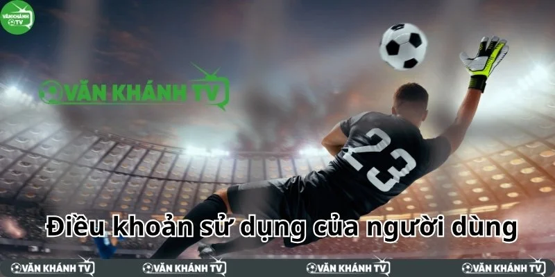Điều khoản sử dụng của người dùng