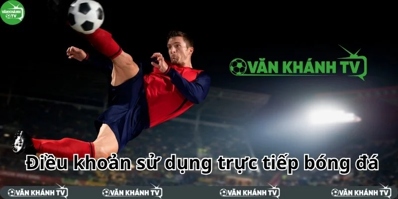 Điều khoản sử dụng trực tiếp bóng đá tại nền tảng