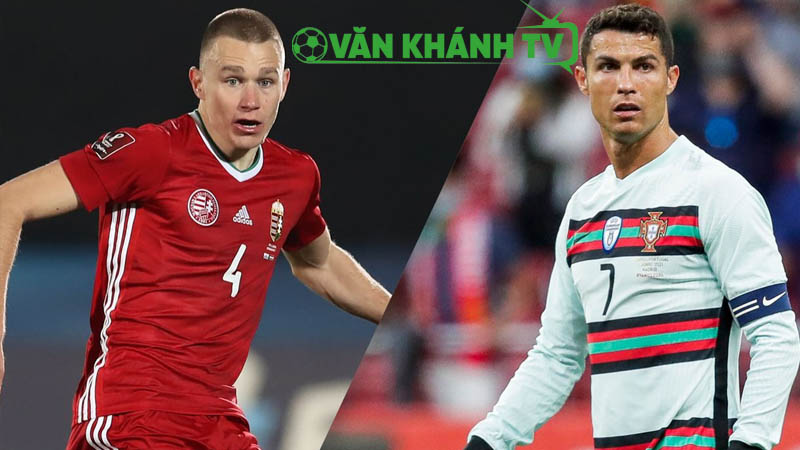 Nhận định Hungary vs Bồ Đào Nha ngày 10/9 – Cuộc đối đầu quyết định tại bảng F vòng loại World Cup 2026.