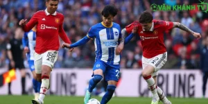 MU vs Brighton - Cơ Hội Vàng Để Quỷ Đỏ Chấm Dứt Chuỗi Đen Tối