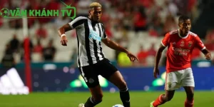 Nhận định Newcastle vs Benfica - Thách thức lớn tại St James’ Park